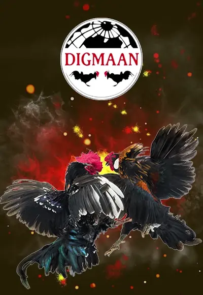 smm-pg-soft cover image png